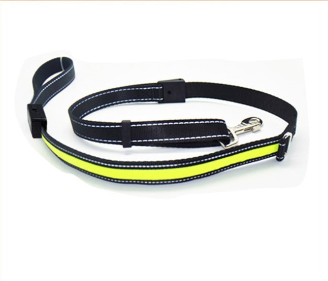 collier lumineux chien Furronyou