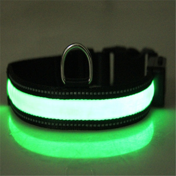collier lumineux chien Furronyou