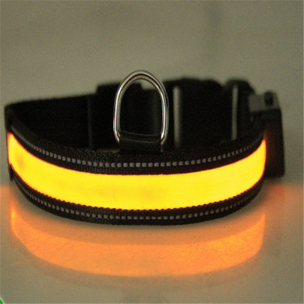 collier lumineux chien Furronyou