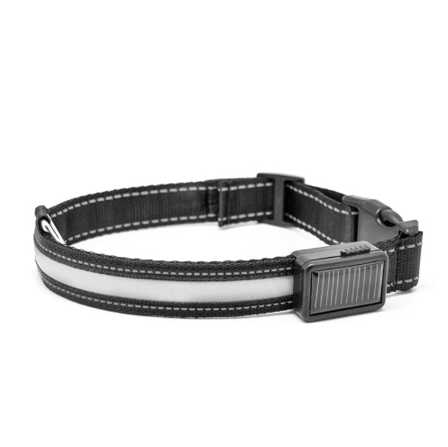 collier lumineux chien Furronyou