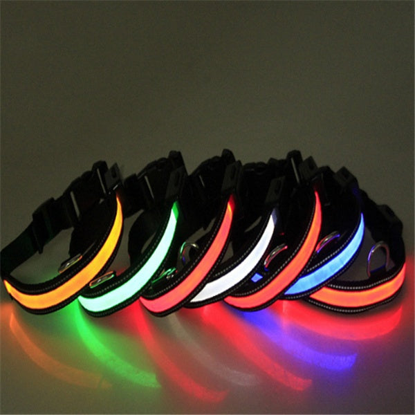 collier lumineux chien Furronyou