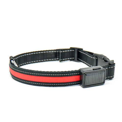 collier lumineux chien Furronyou