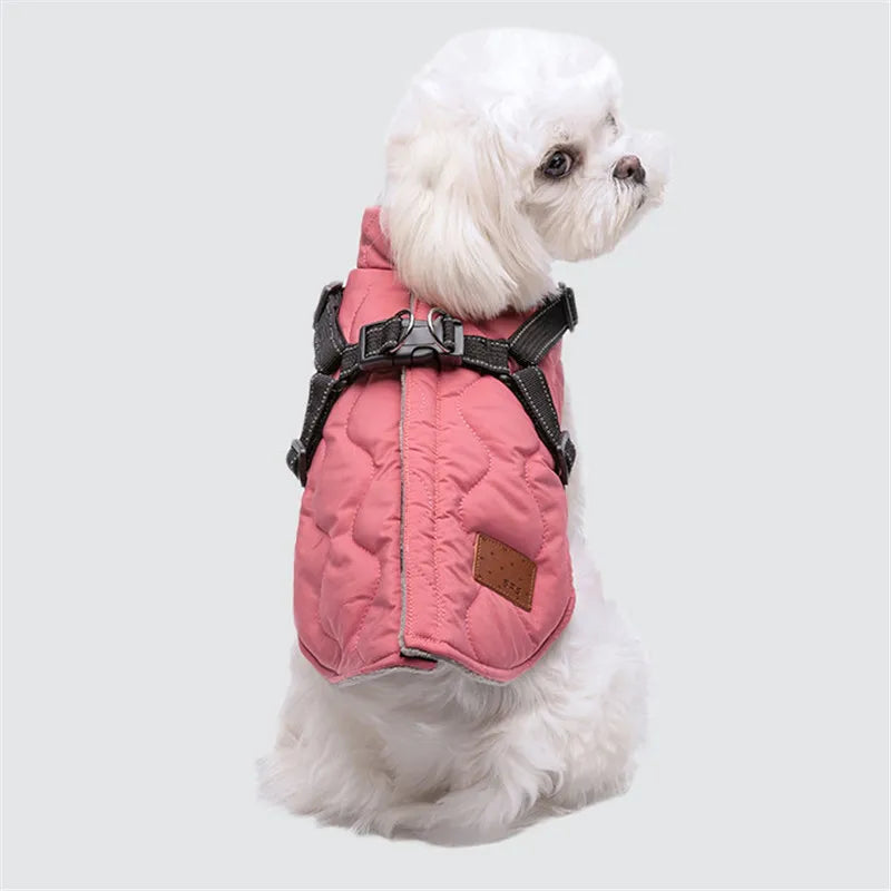 Small white dog wearing a pink quilted jacket on a light gray background