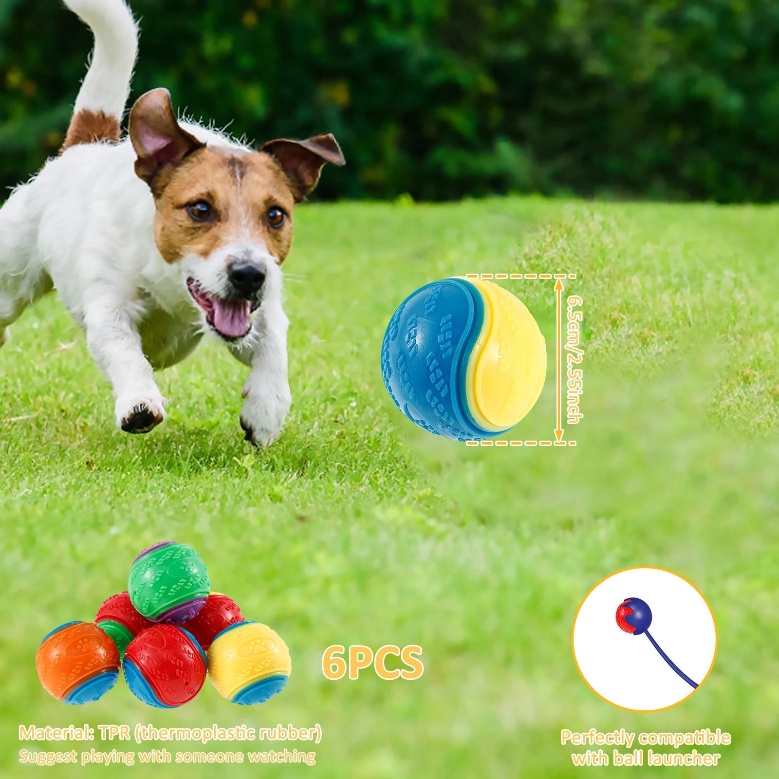 6-Pack Squeaky Dog Balls – Interactive TPR Chew Toys for Teeth Cleaning