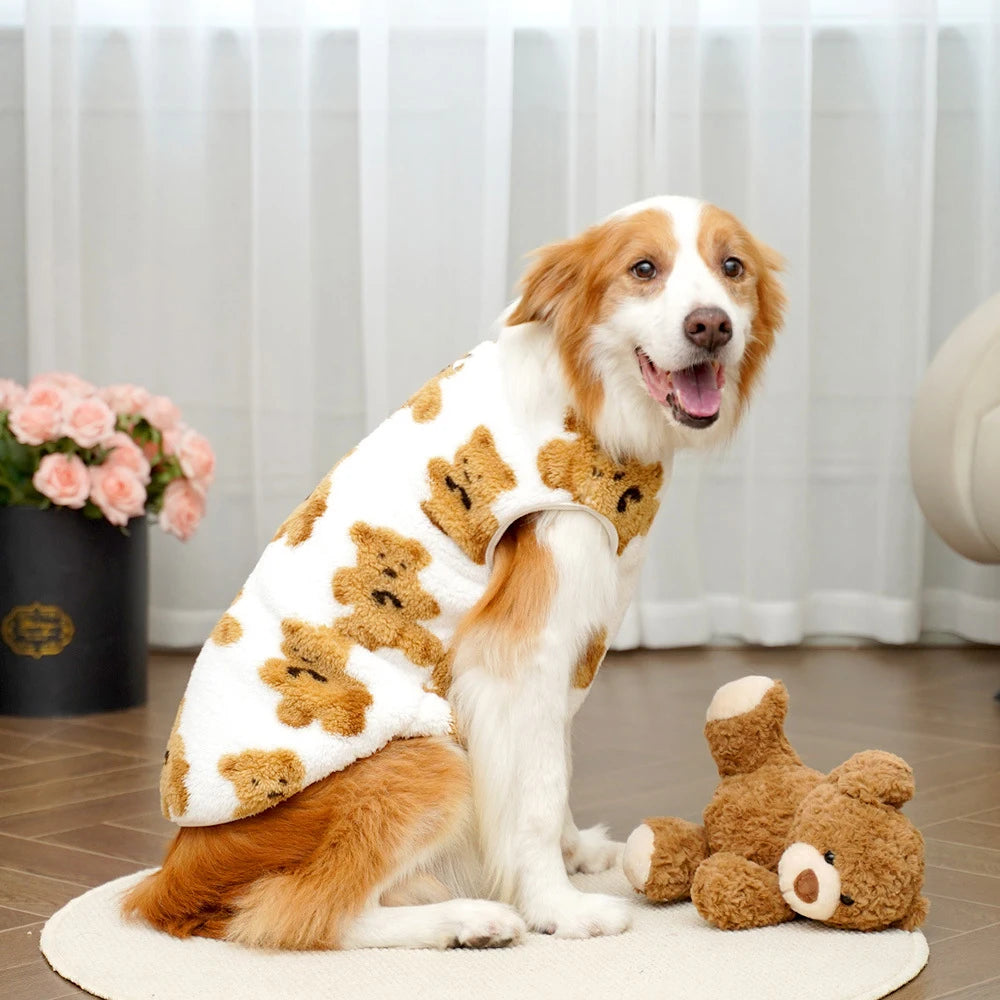 Dog wearing a teddy bear-patterned sweater sitting on a wooden floor with a teddy bear toy.