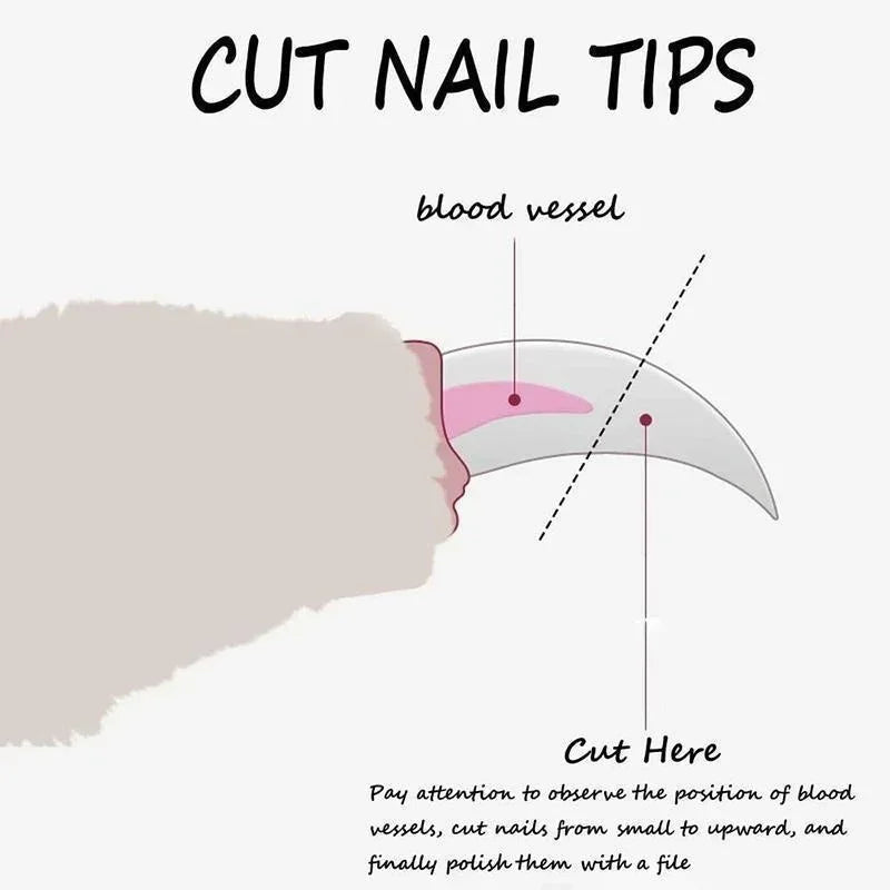 Pet Nail Clippers for Dogs & Cats