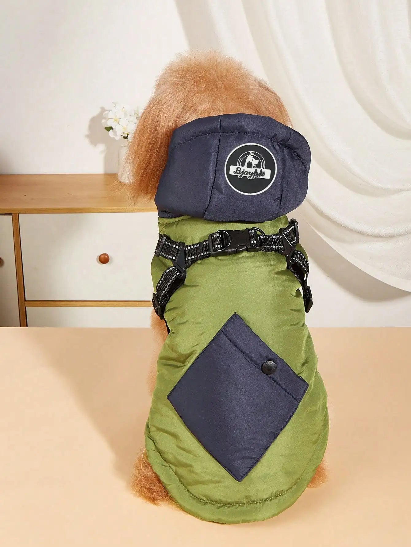 Dog wearing a green and navy jacket with a brand logo on a light background