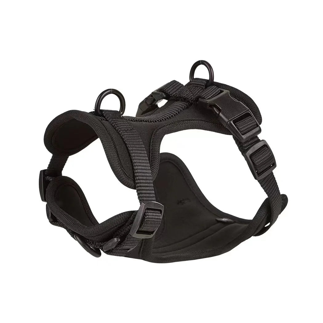 Black dog harness on a white background