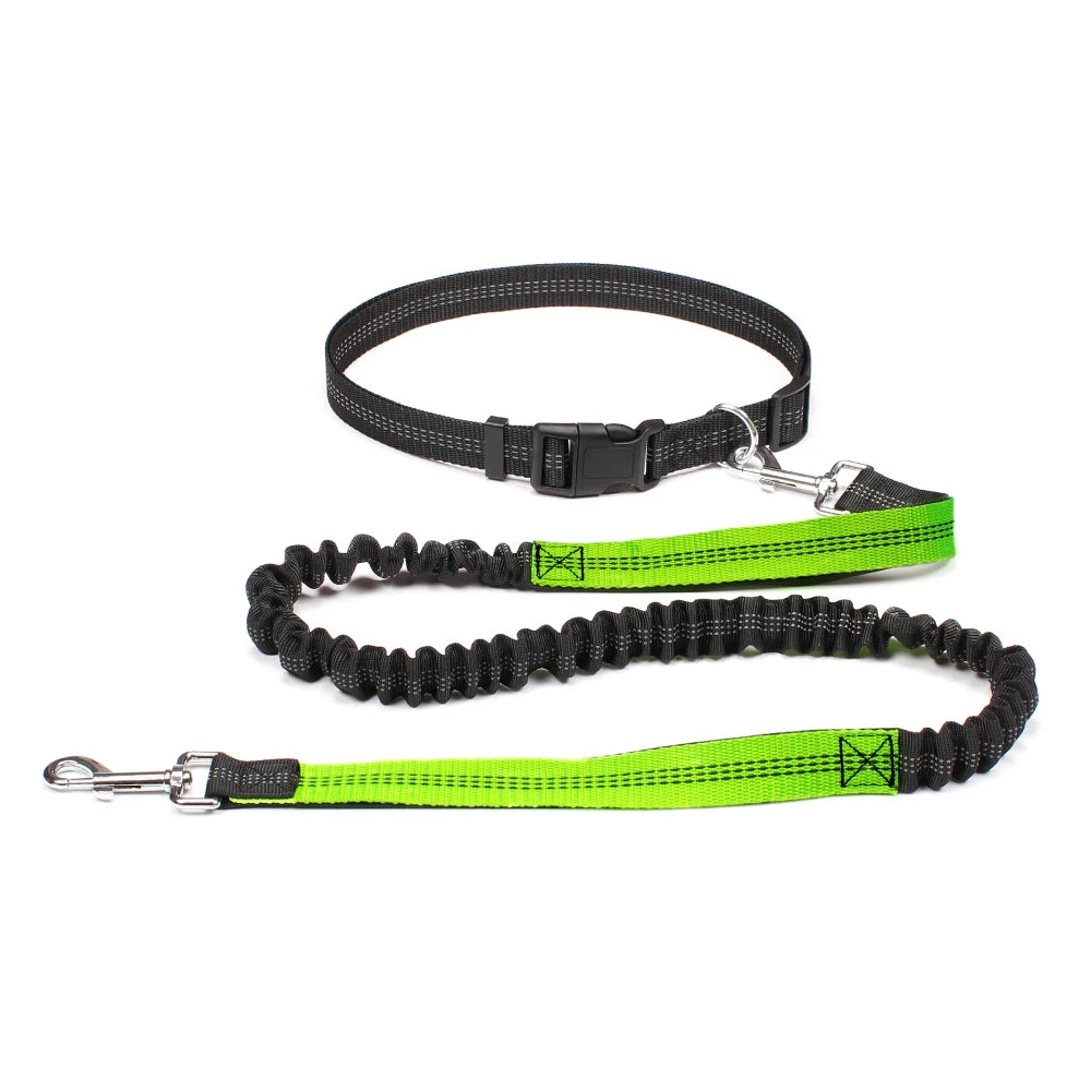 Dog leash with green and black design on a white background