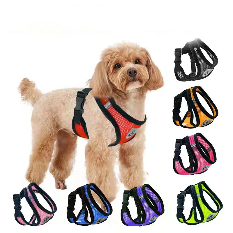 Dog wearing a red harness with multiple color options displayed on a white background