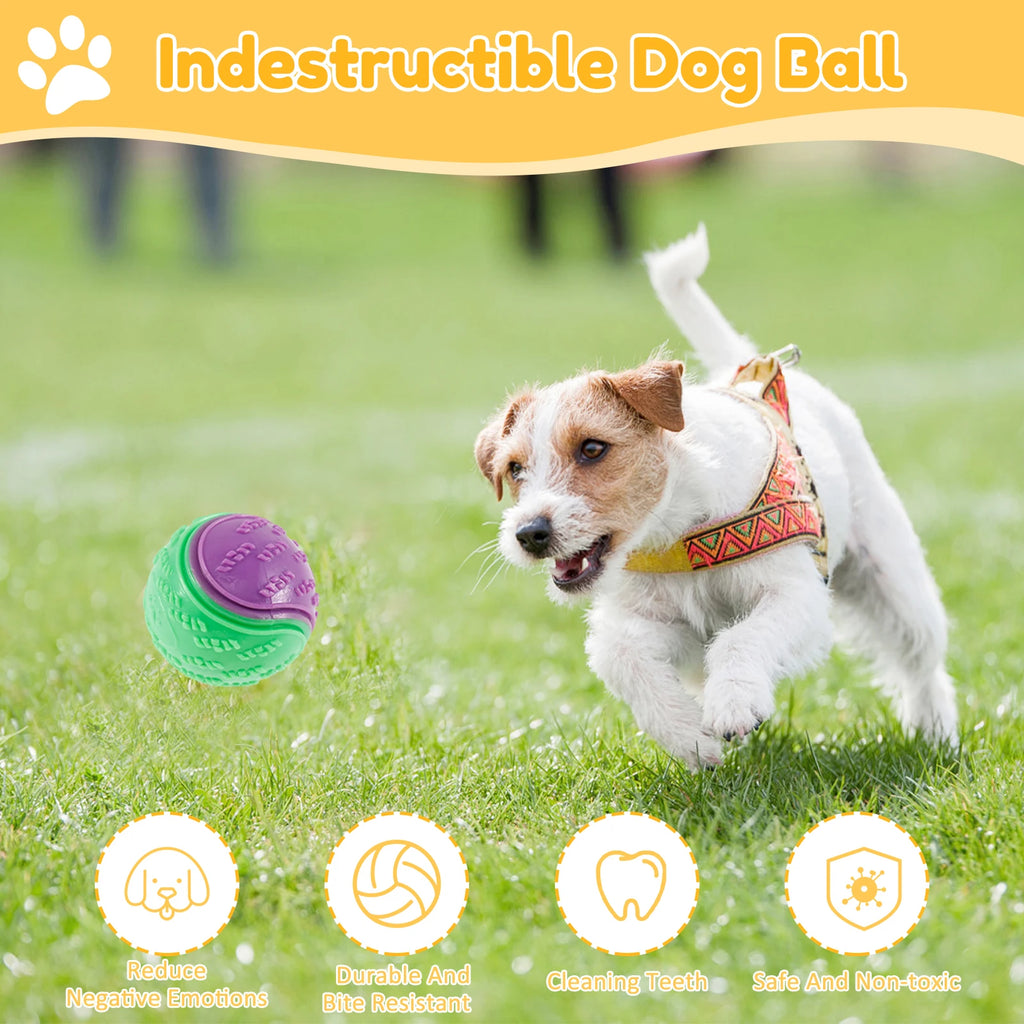 6-Pack Squeaky Dog Balls – Interactive TPR Chew Toys for Teeth Cleaning