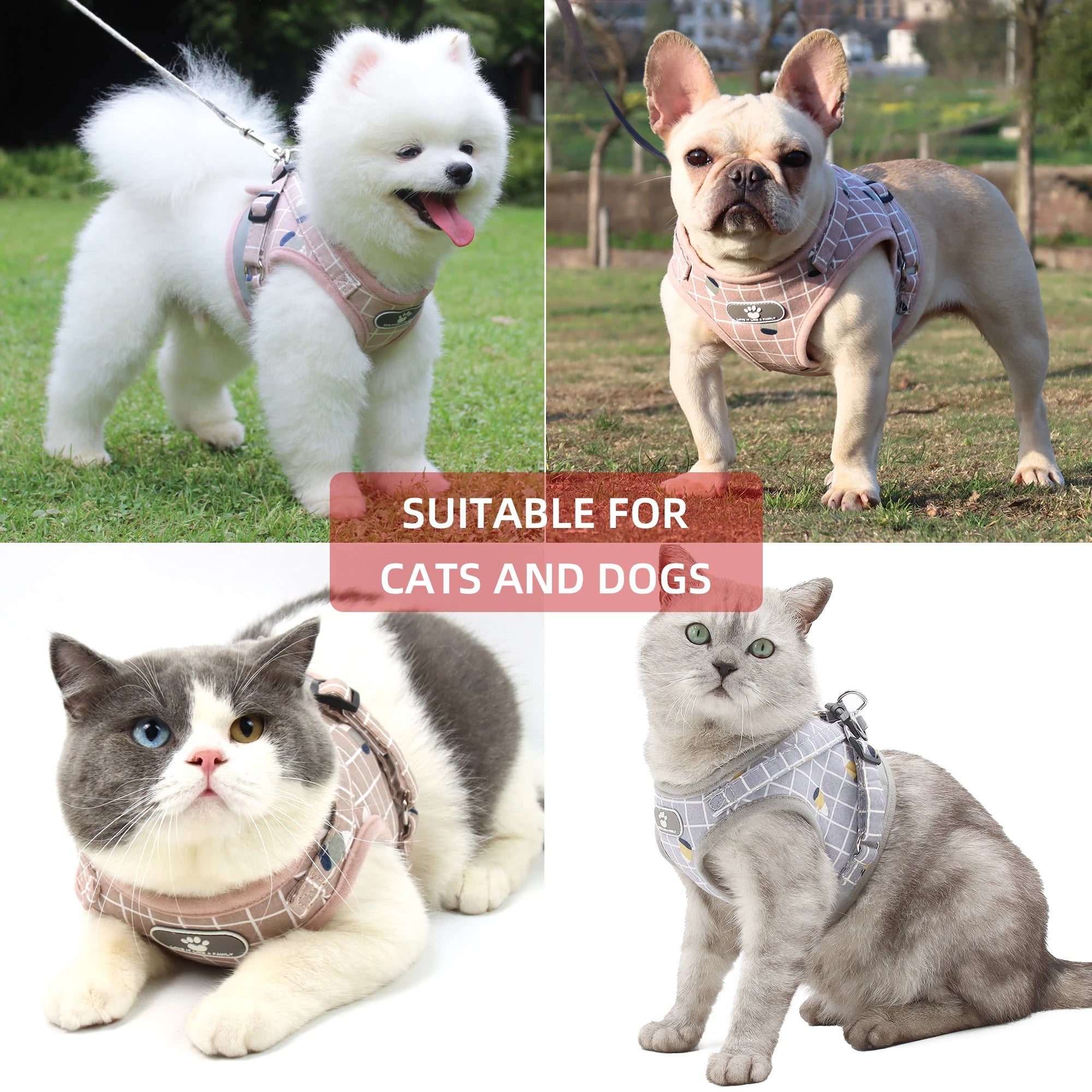 Collage of dogs and cats wearing plaid harnesses in various settings.