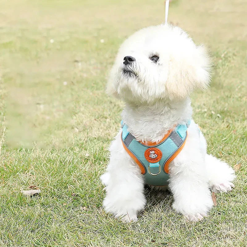No-Pull Reflective Dog Harness & Leash Set – Adjustable for Small & Medium Dogs