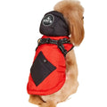 Dog wearing a red and black puffer vest on a white background