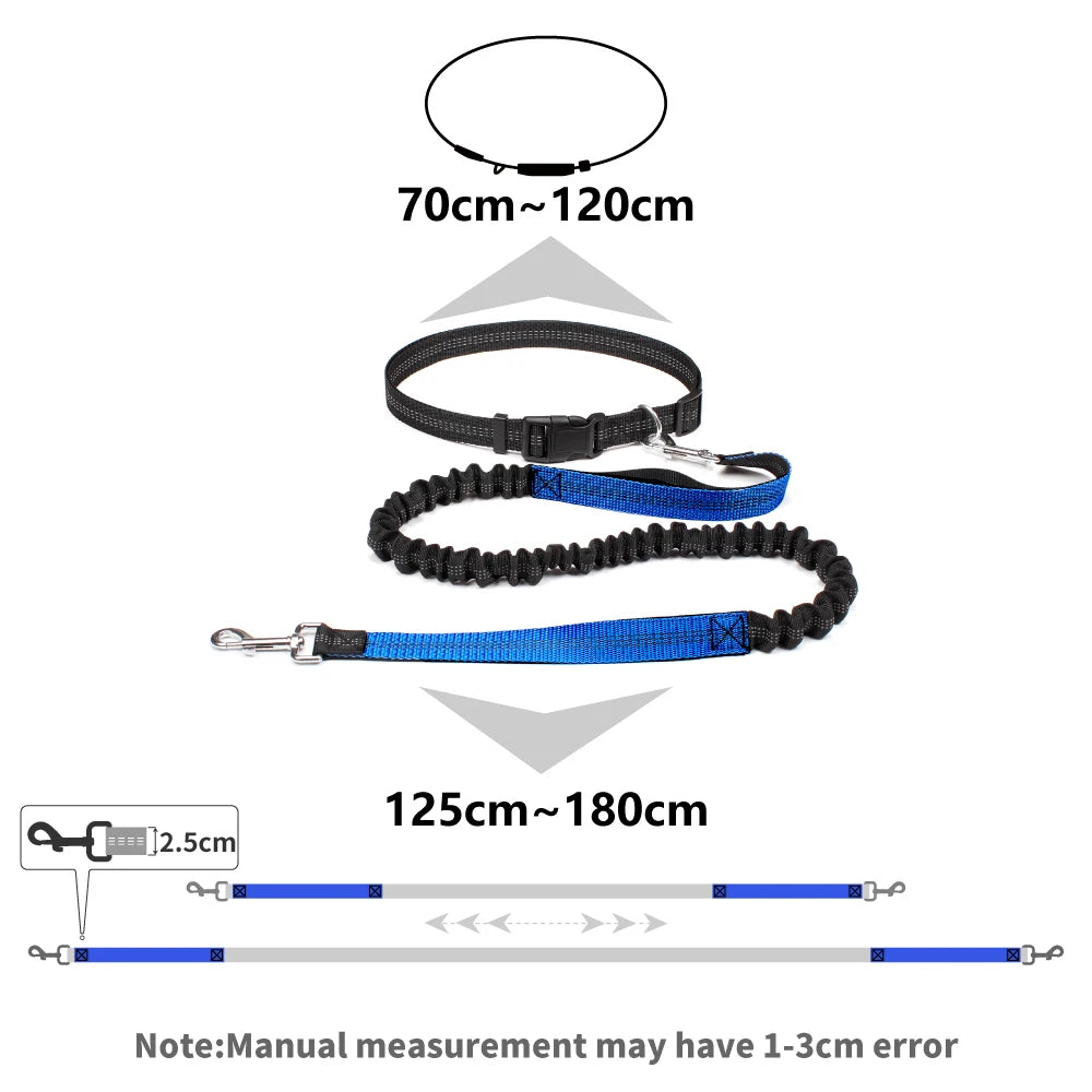 Dog leash with measurement details on a white background