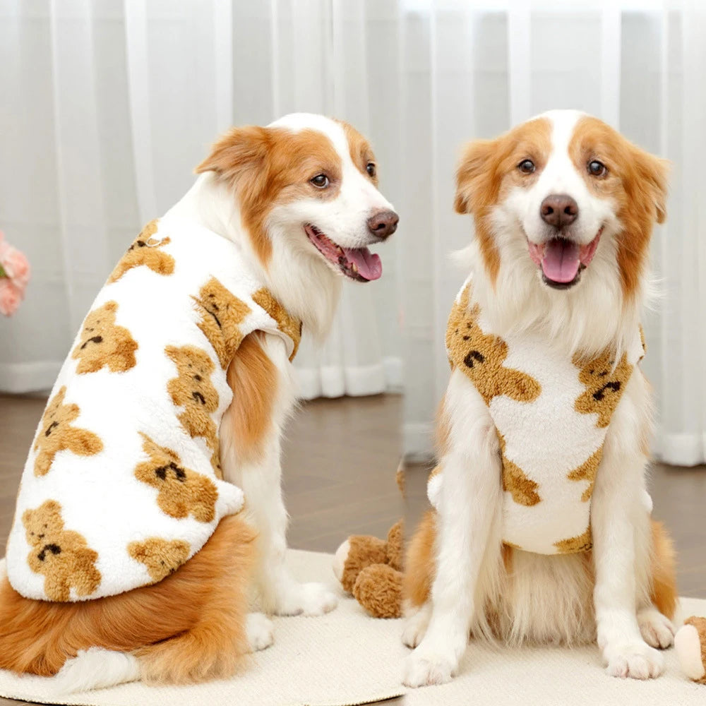 Two dogs wearing teddy bear patterned sweaters sitting side by side on a light-colored floor.
