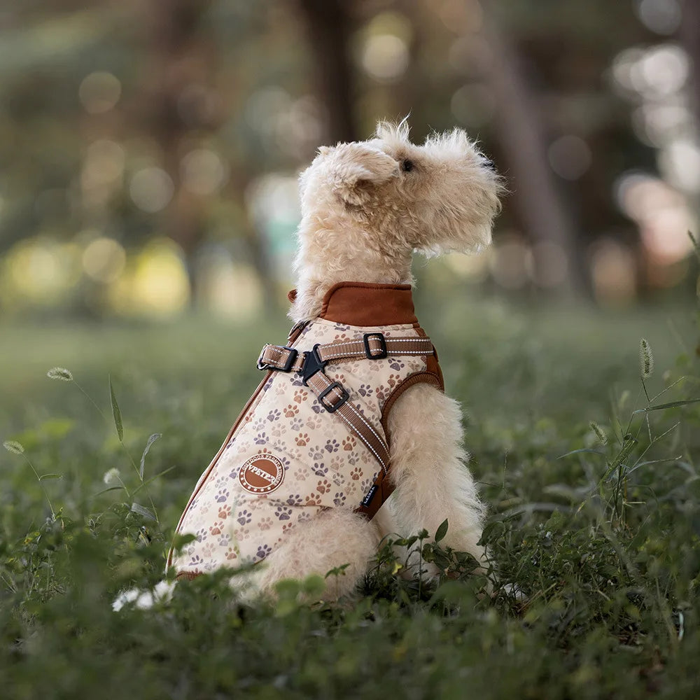 Small white dog wearing a floral harness in a grassy field