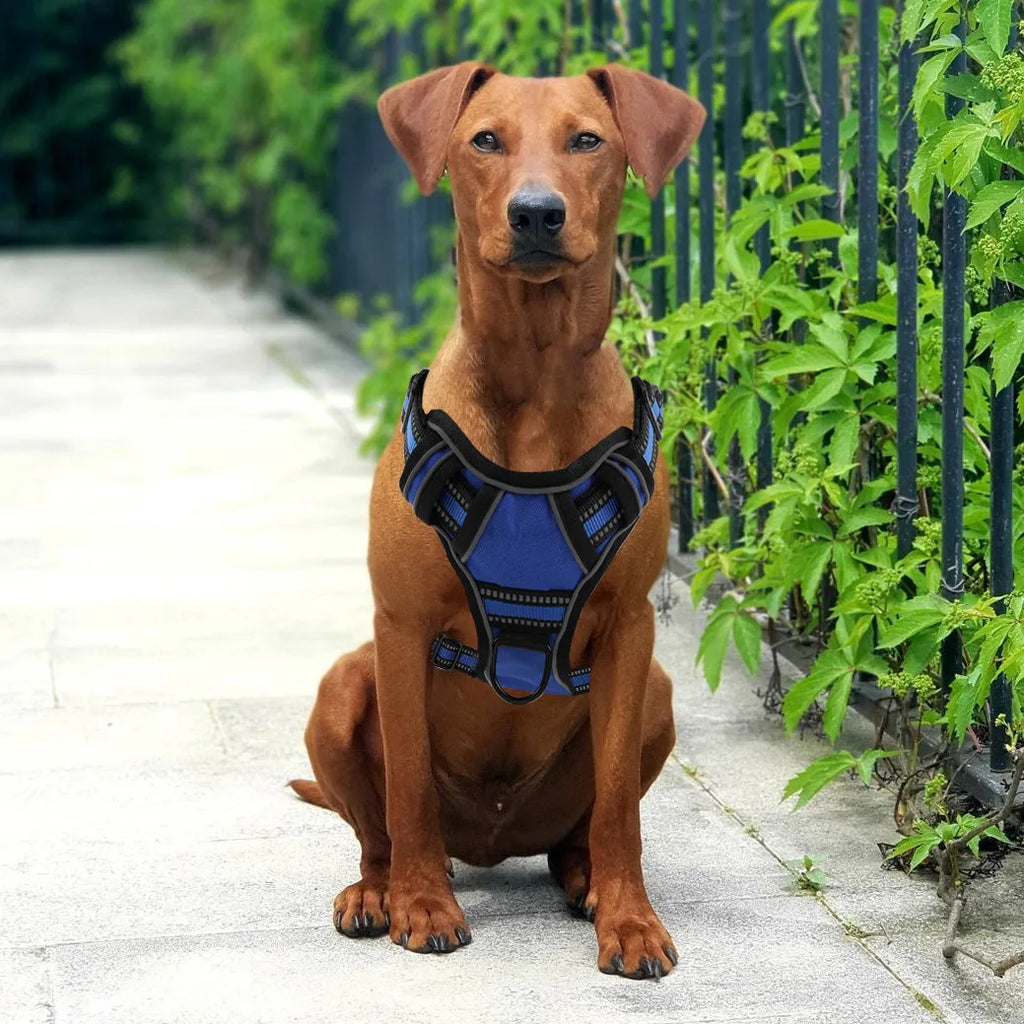 Reflective No-Pull Dog Harness – Adjustable Breathable Vest for All Dog Sizes