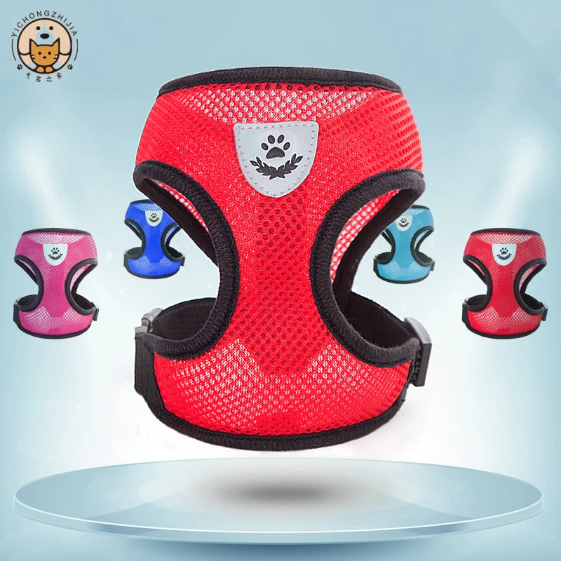 Red dog harness with paw emblem on a light blue background