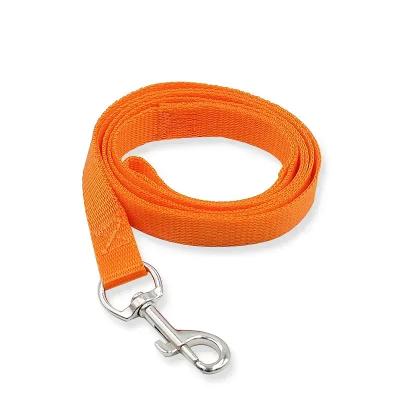 Orange dog leash with a metal clip on a white background