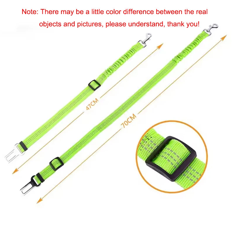 Green dog leash with measurement details on a white background