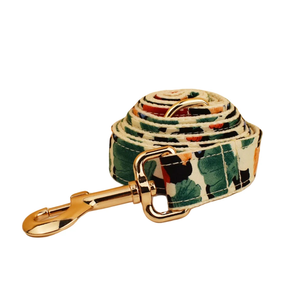 Dog leash with colorful pattern and gold clasp on a white background