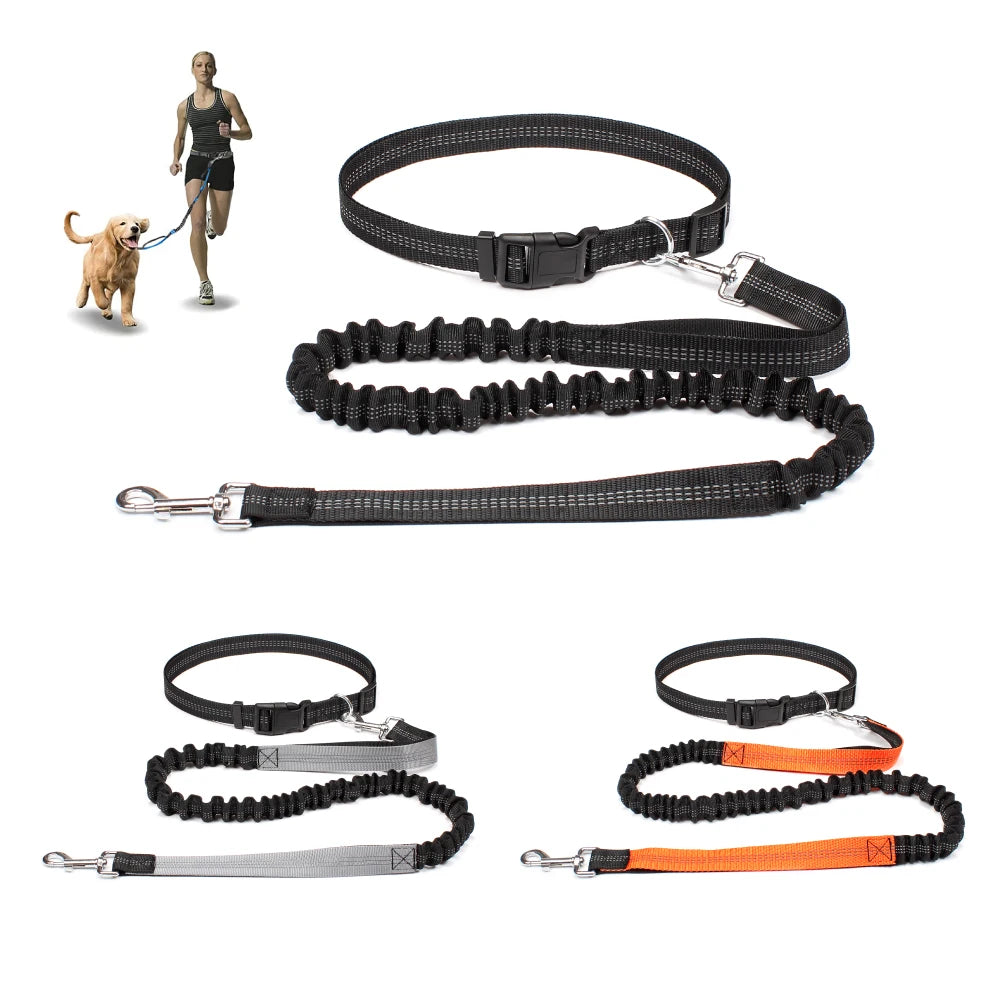 Dog leashes in various designs and colors on a white background
