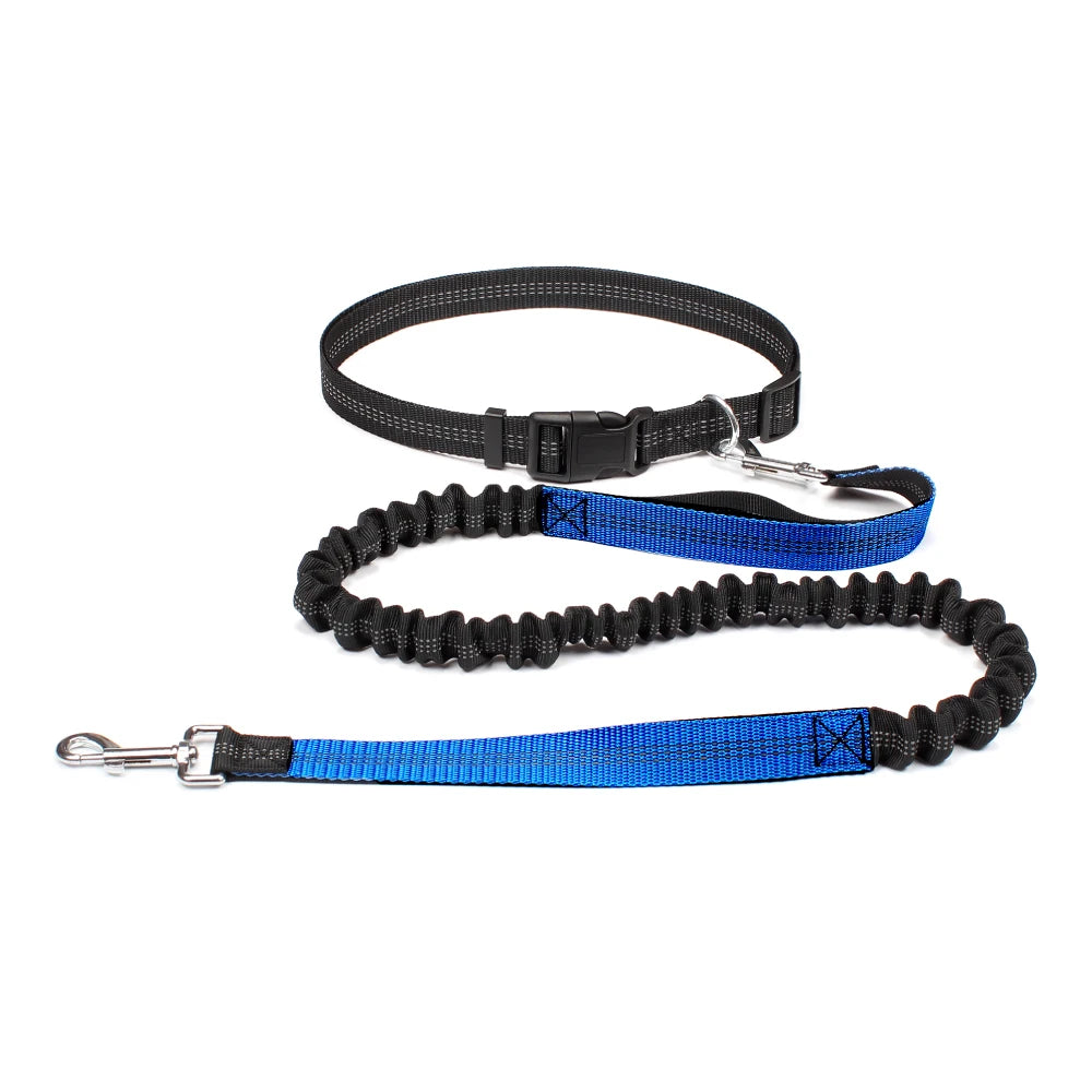 Blue and black dog leash with handle on a white background