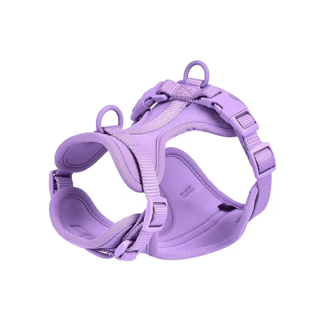 Purple dog harness on a white background