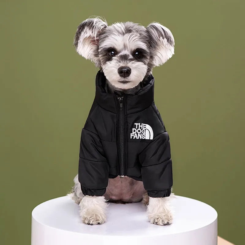 Luxury Fashion Dog Coat – Warm Down Jacket for Autumn & Winter