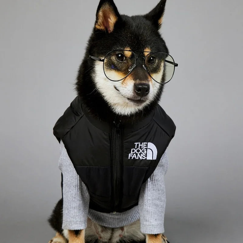 Windproof Padded Dog Jacket
