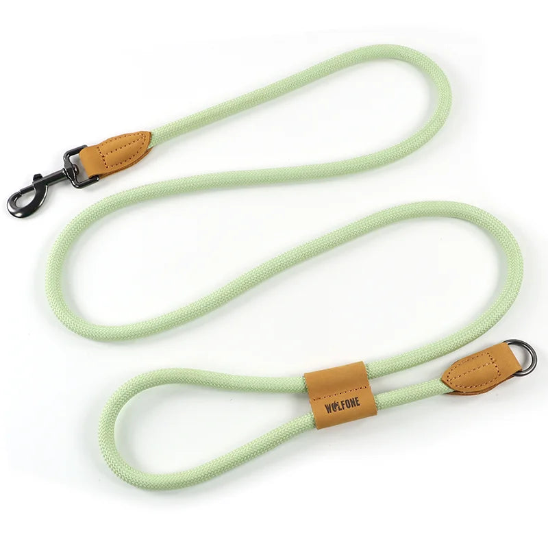 Dog leash with green rope and brown leather ends on a white background