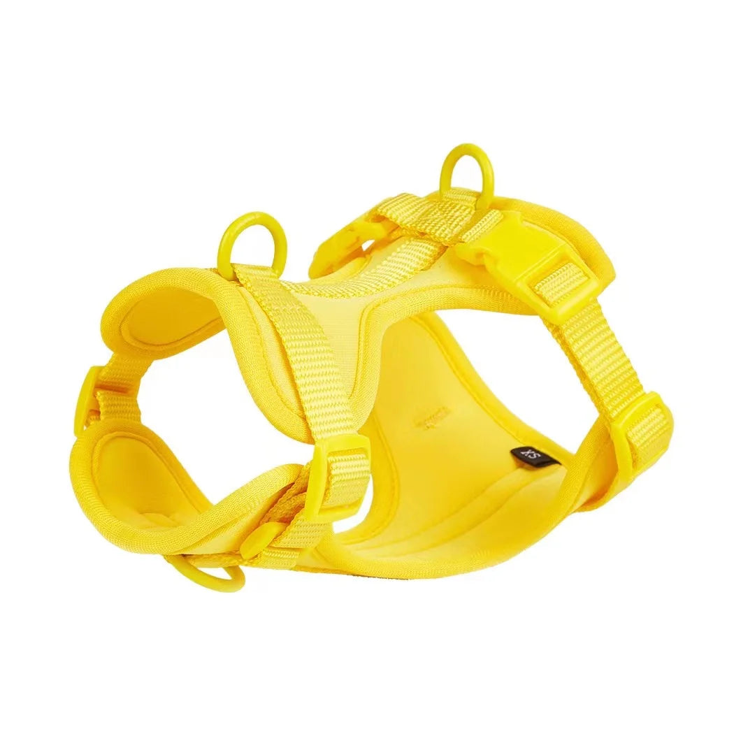 Yellow dog harness on a white background