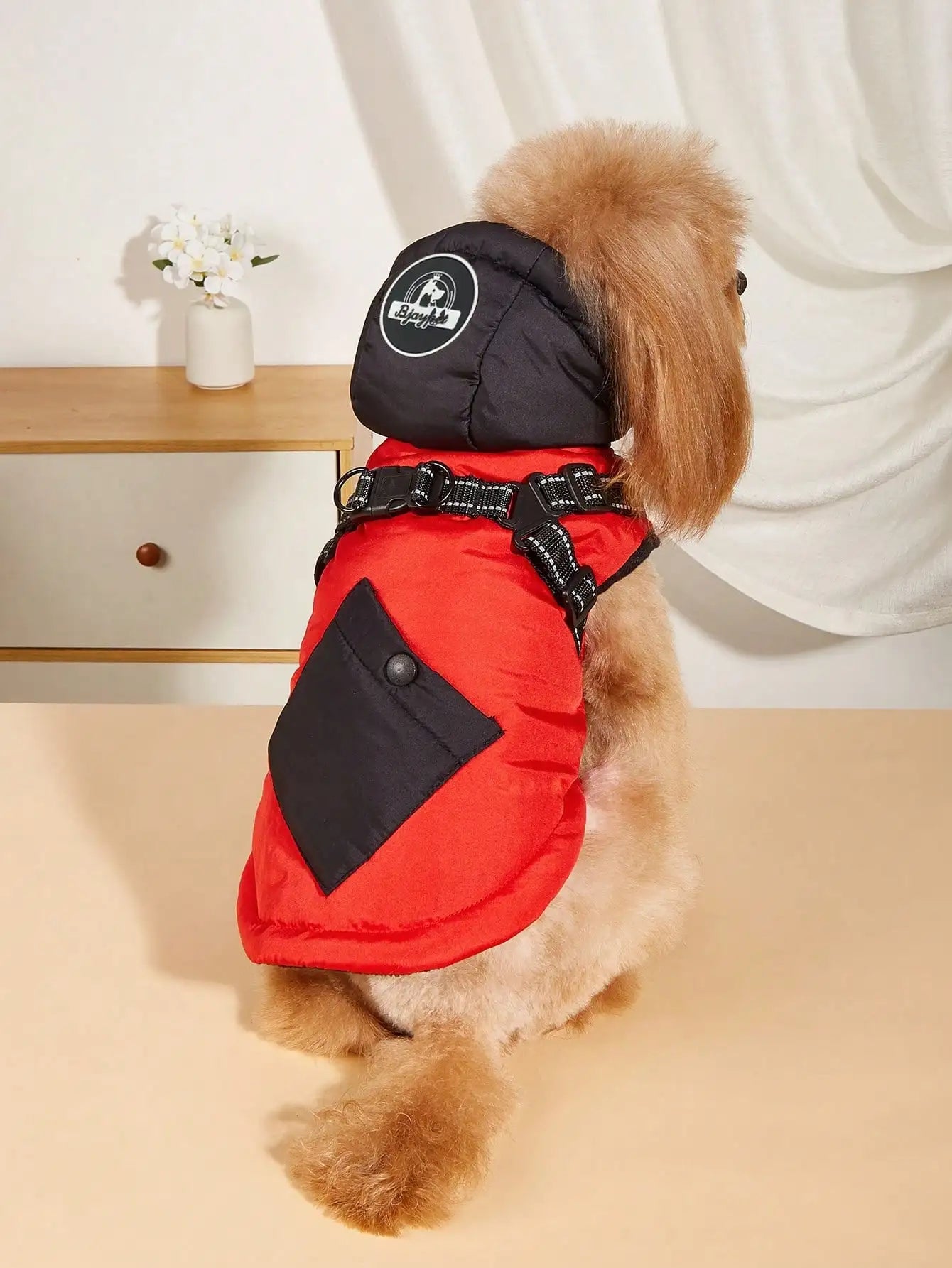 Small dog wearing a red and black puffer coat with a harness on a light-colored floor.