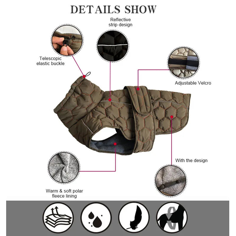 Dog coat with features highlighted on a white background