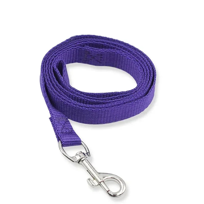 Purple dog leash with a metal clip on a white background