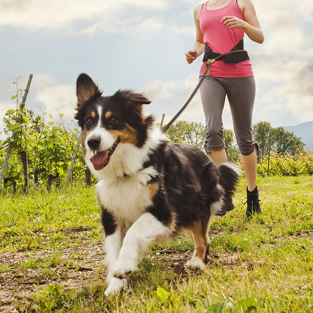Person running with a dog on a leash in a grassy field