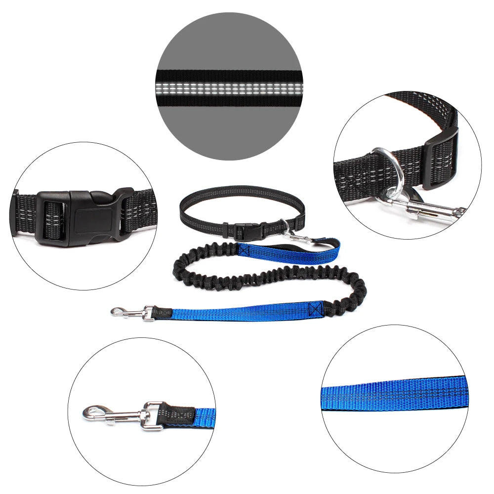 Dog collar, leash, and handle with reflective striping on a white background
