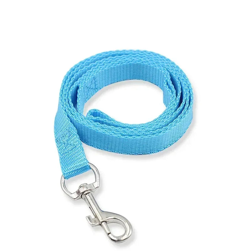 Blue dog leash with a metal clip on a white background