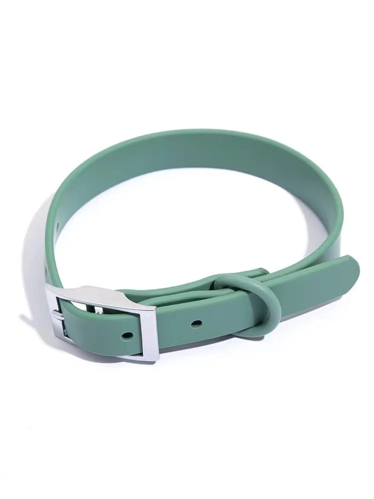 Green dog collar with a silver buckle on a white background