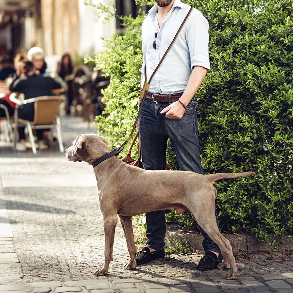 Man walking a dog on a leash in an urban setting