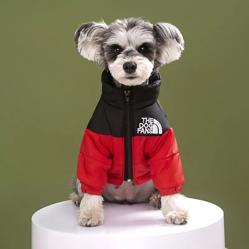 Luxury Fashion Dog Coat – Warm Down Jacket for Autumn & Winter