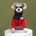 Luxury Fashion Dog Coat – Warm Down Jacket for Autumn & Winter