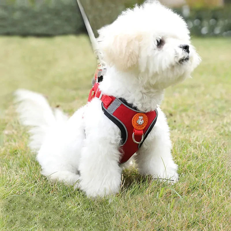No-Pull Reflective Dog Harness & Leash Set – Adjustable for Small & Medium Dogs