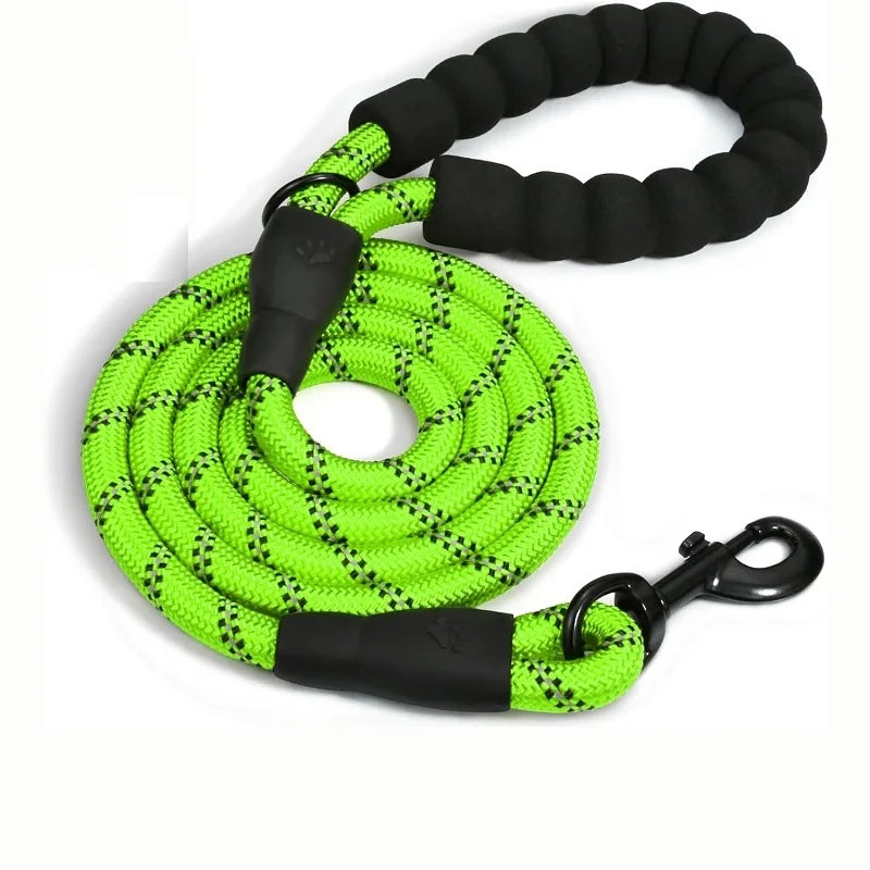 Double Strap Retractable Dog Leash