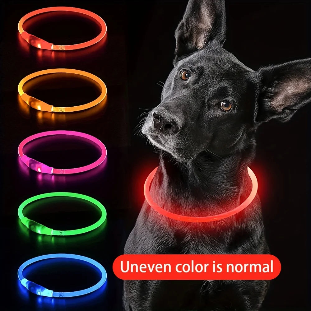LED Light-Up Dog Collar – USB Rechargeable Anti-Lost Luminous Collar