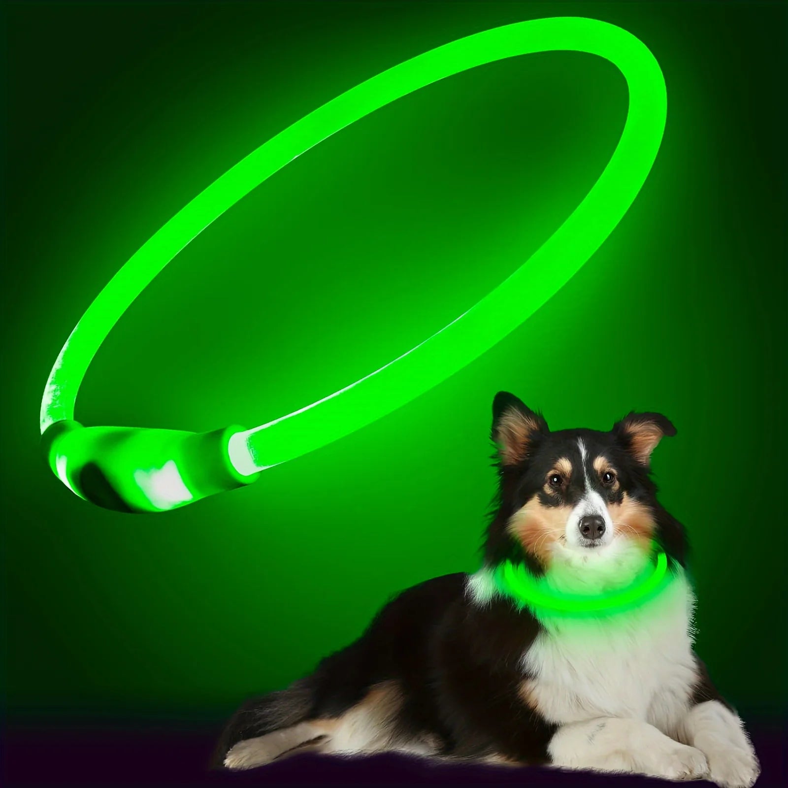 LED Light-Up Dog Collar – USB Rechargeable Anti-Lost Luminous Collar