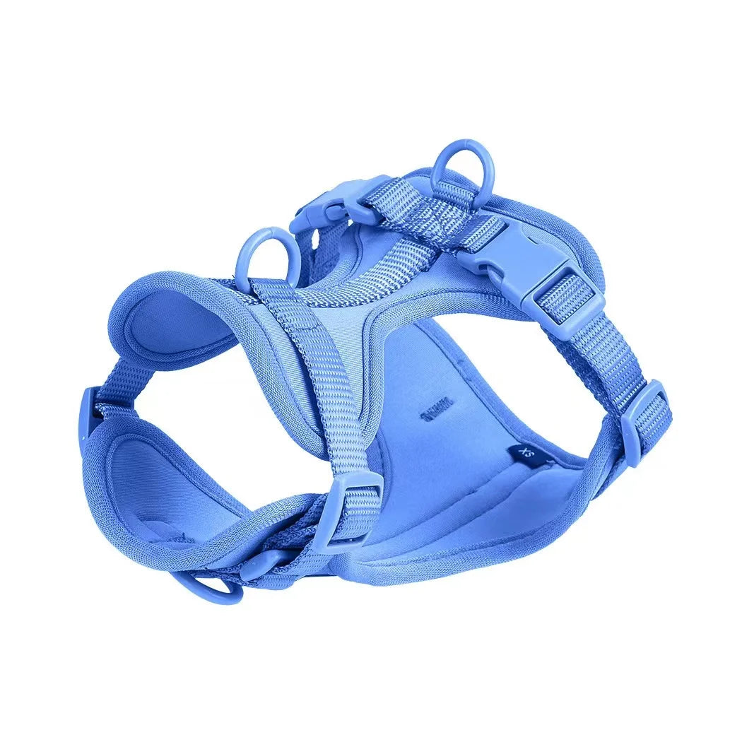 Blue dog harness on a white background