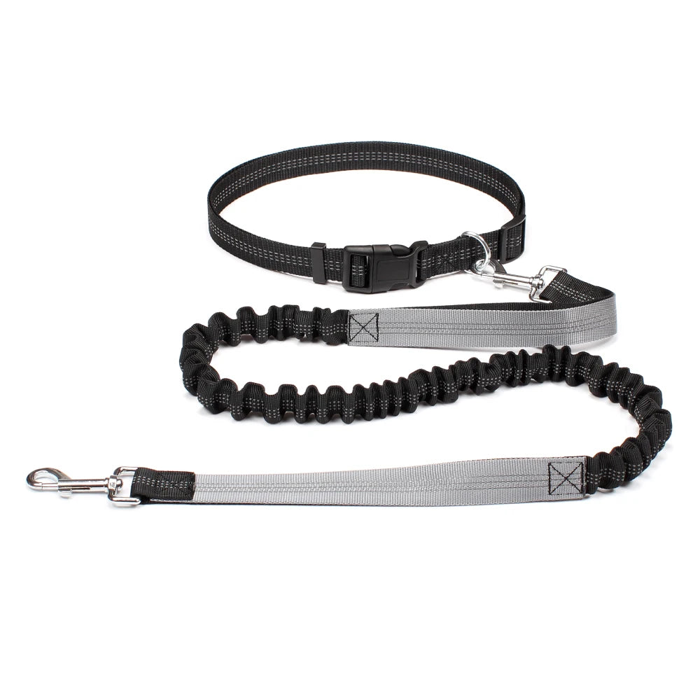 Black and gray dog leash on a white background