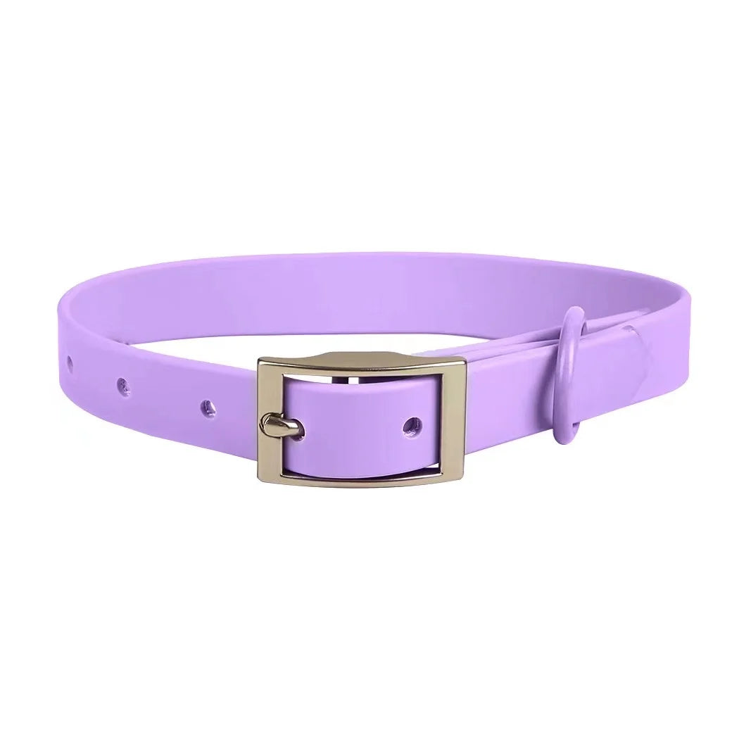 Purple belt with a gold buckle on a white background
